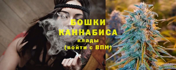 PSILOCYBIN Богородицк